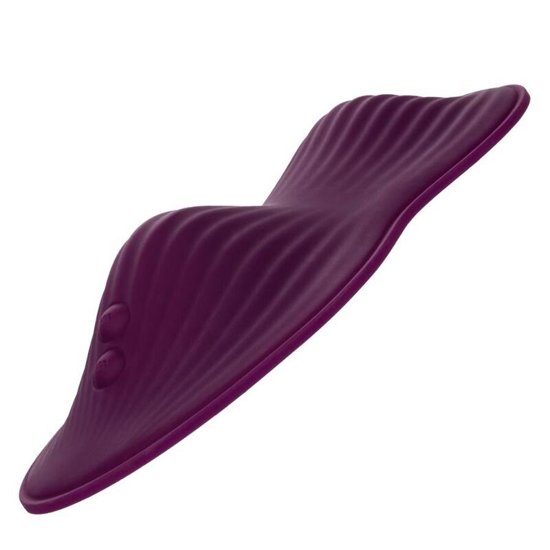CALEXOTICS - COCHE DE CONTROL REMOTO PARA DOS PERSONAS