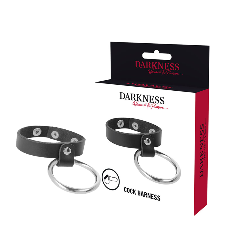 DARKNESS - ANILLO METÁLICO PARA EL PENE Y LOS TESTICULOS