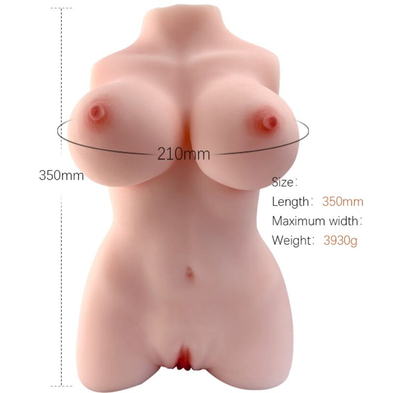 ARMONY - MODELO DE TORSO FEMENINO REALISTA 3
