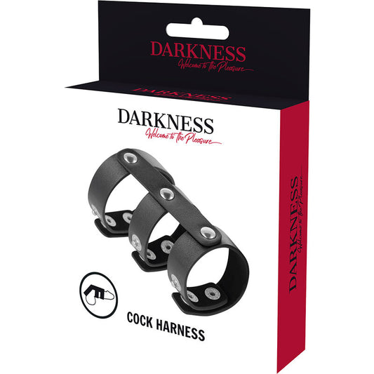 DARKNESS - DOUBLE ANNEAU PÉNIS ET TESTICULES EN CUIR RÉGLABLE