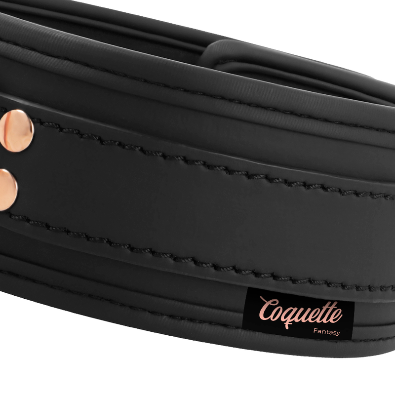 COQUETTE CHIC DESIRE - COLLIER FANTAISIE EN CUIR VEGAN AVEC DOUBLURE EN NÉOPRÈNE
