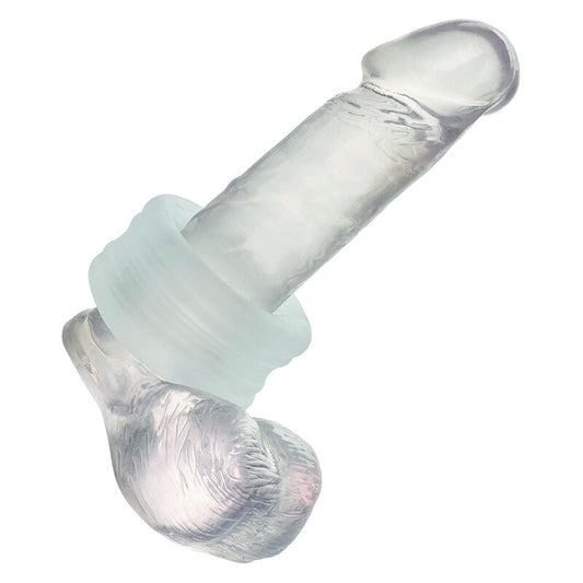 CALEXOTICS - ANILLO PARACHOQUES SIN LÍMITES