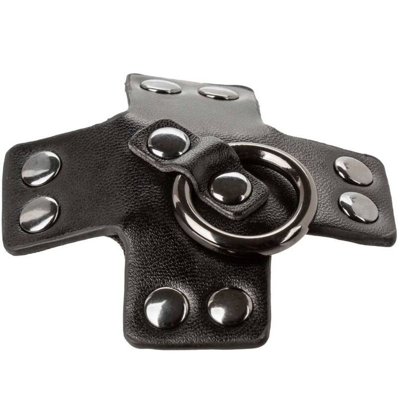 CALEXOTICS - EUPHORIA ANILLO TÓRICO NEGRO