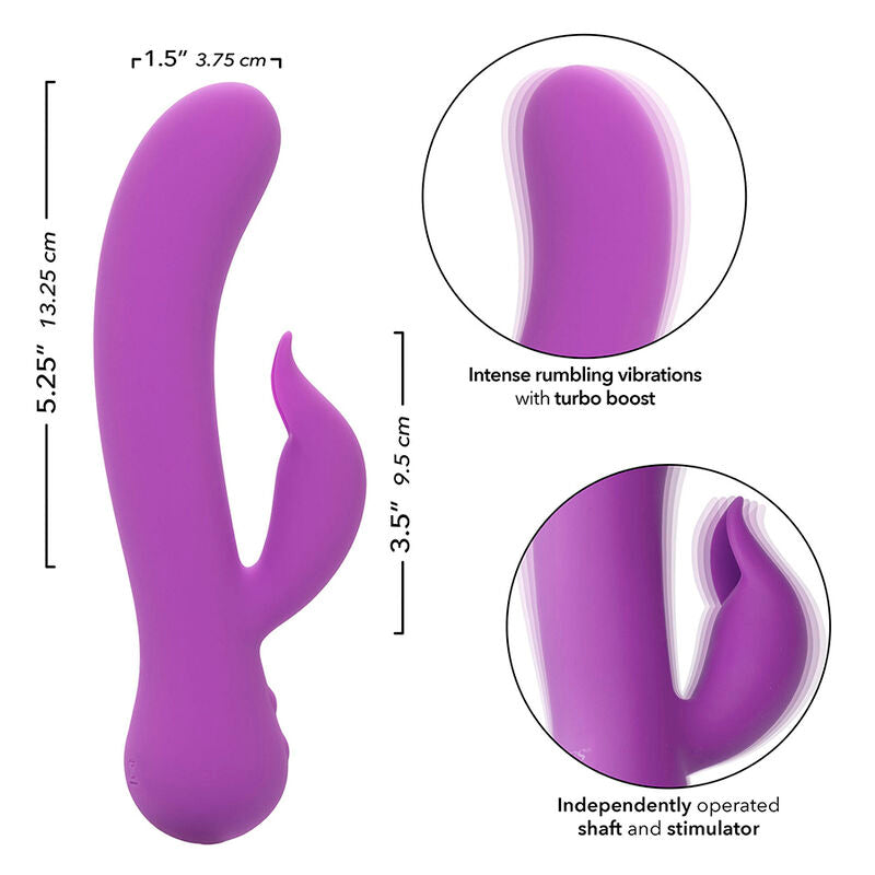 CALEXOTICS - PREMIER VIBRATEUR PLEASER RECHARGEABLE VIOLET