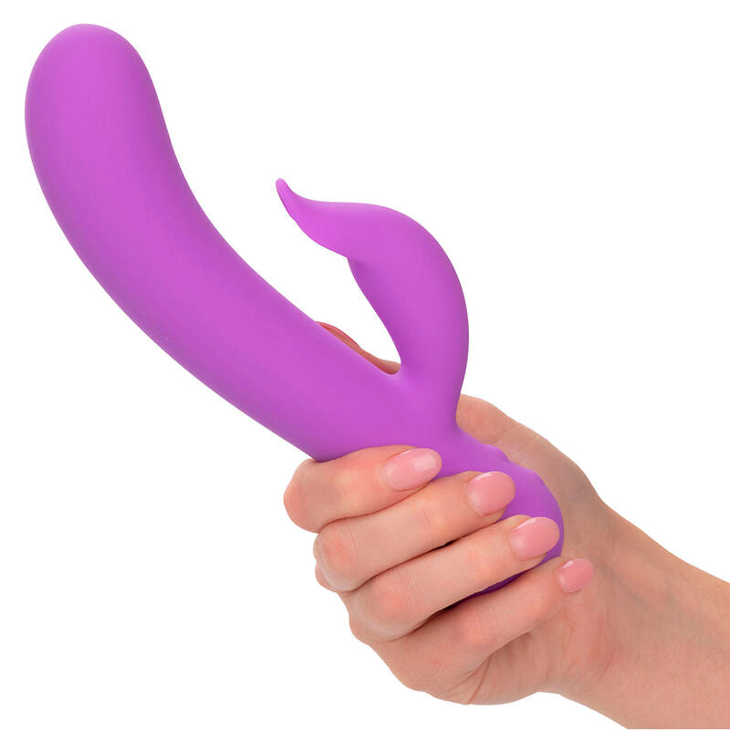 CALEXOTICS - PREMIER VIBRATEUR PLEASER RECHARGEABLE VIOLET