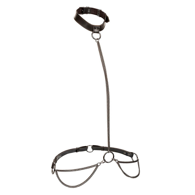 CALEXOTICS - COLLAR Y CORREA DE CADENA EUPHORIA
