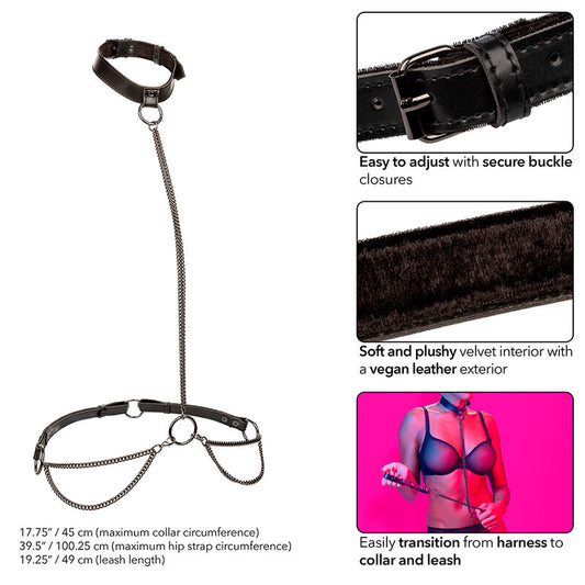 CALEXOTICS - COLLAR Y CORREA DE CADENA EUPHORIA