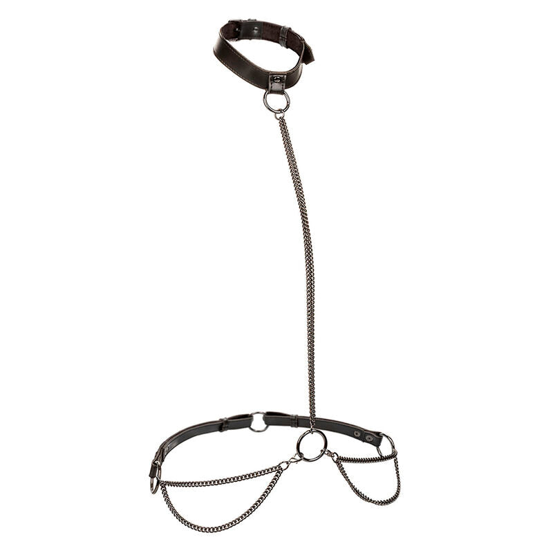 CALEXOTICS - COLLAR Y CORREA EUPHORIA CHAIN ​​HALTER TALLA GRANDE