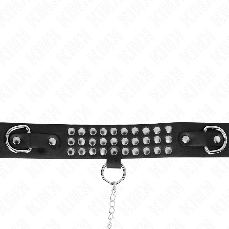 KINK - COLLAR CON CORREA 65 CM CON BRILLO AJUSTABLE 37-42 CM X 5.3 CM