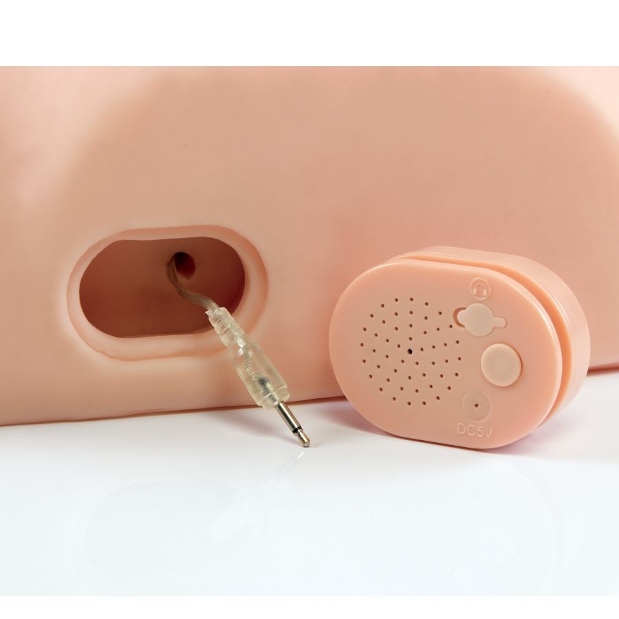 PDX MALE - INTERACTIF BAISE-LE BIZARRE